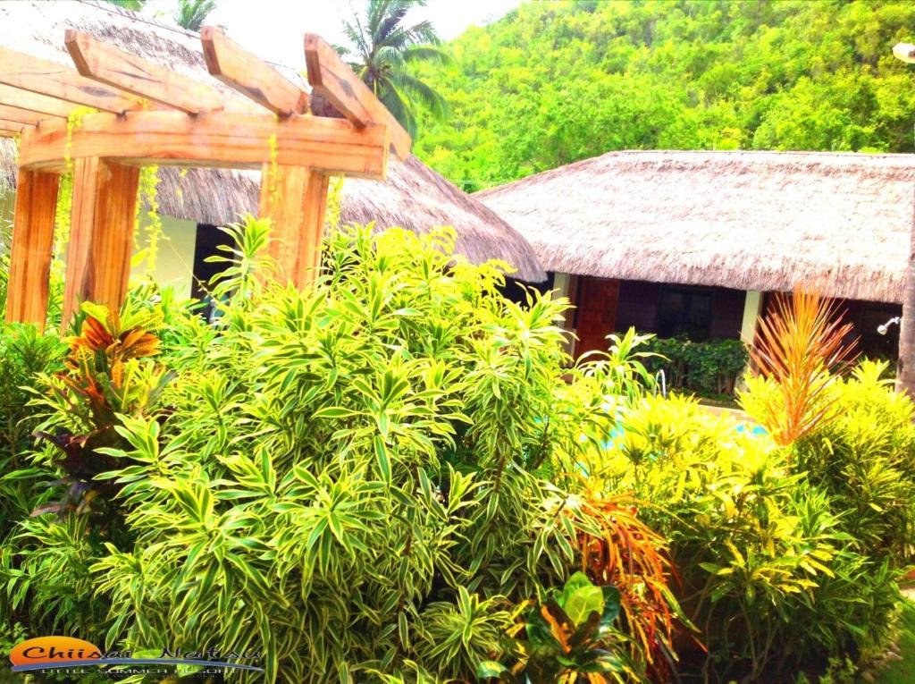 Chiisai Natsu Resort Bohol Exterior foto